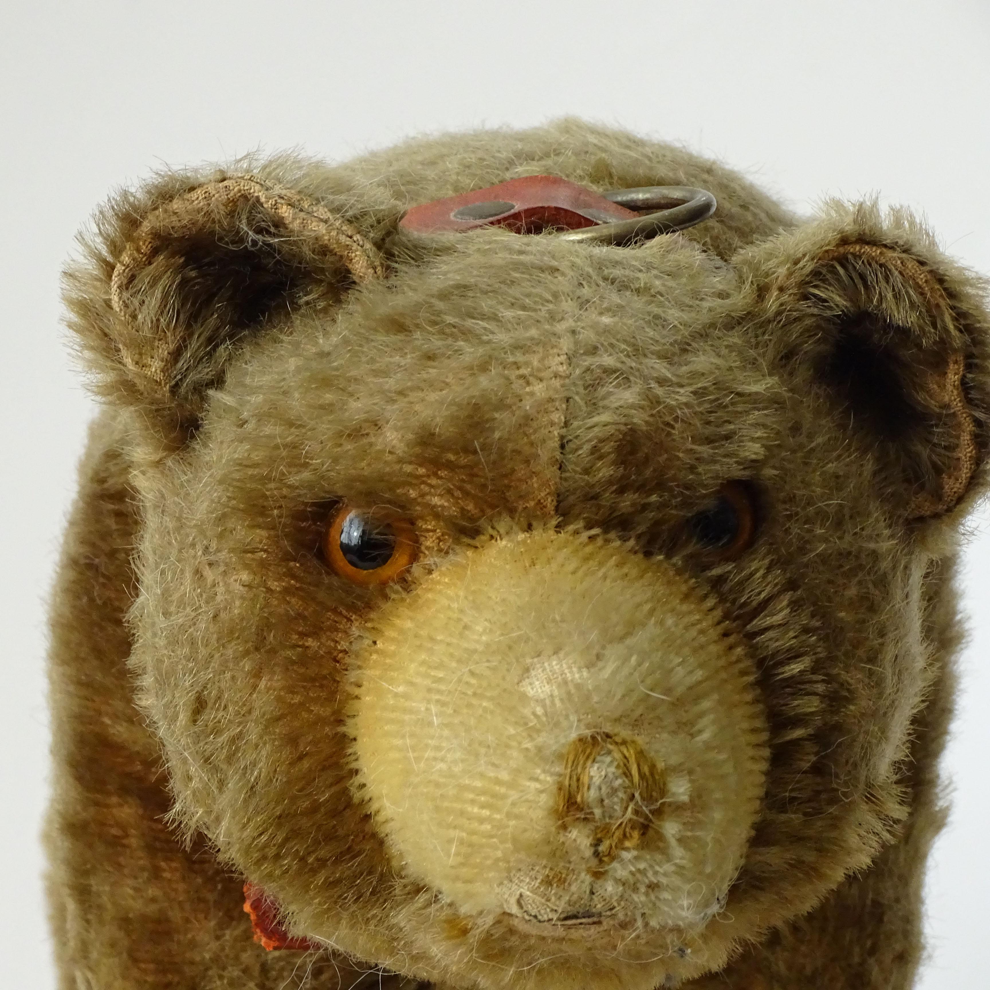 The Sweetest Steiff Mohair Teddy Bear on Wheels, Germany 1920s