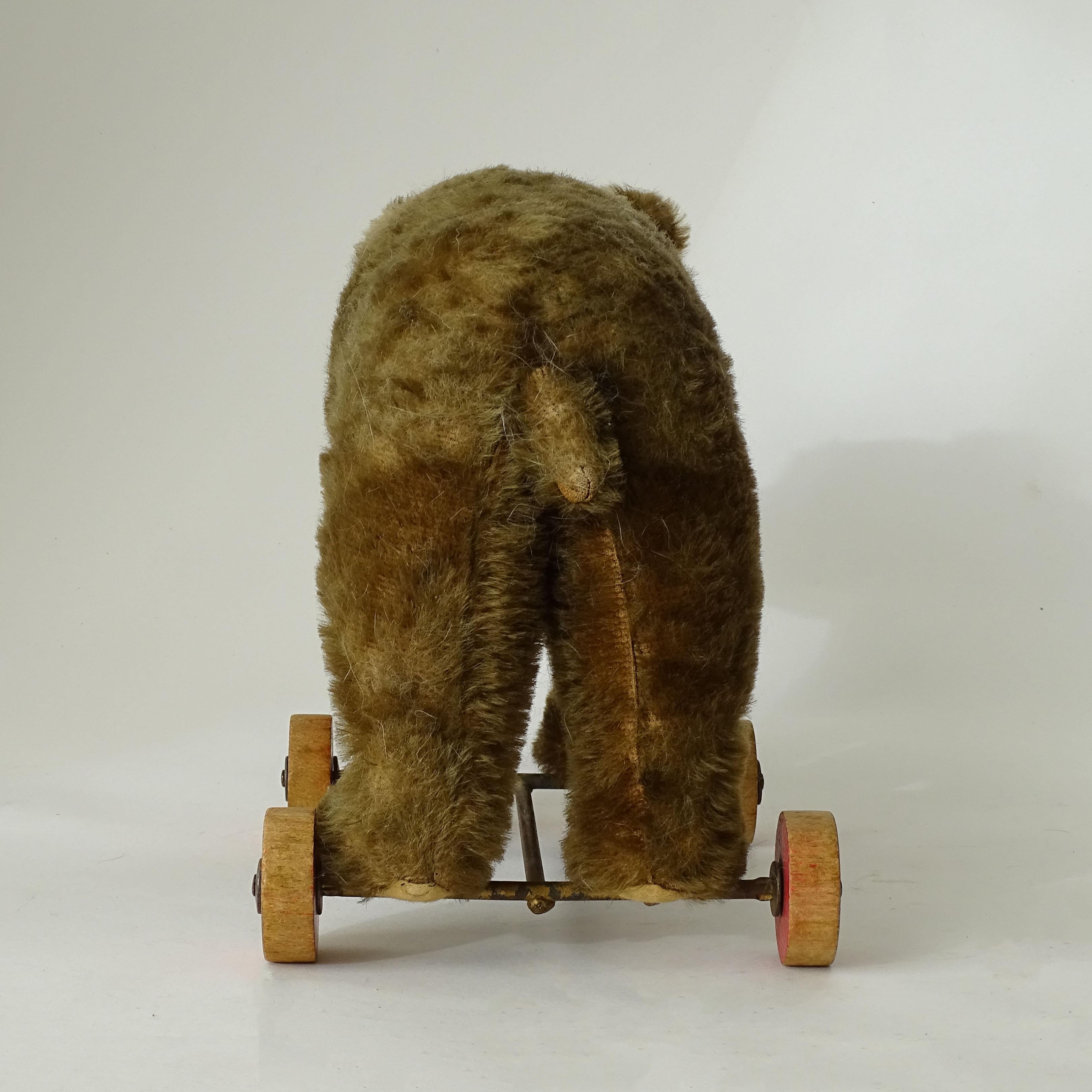 Splendid Steiff Mohair Teddy Bear on Wheels, Germany 1920s For Sale 1