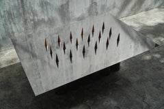 Splinter In The Coffee Table in Chechen Wood & Steel by Alina Rotzinger
