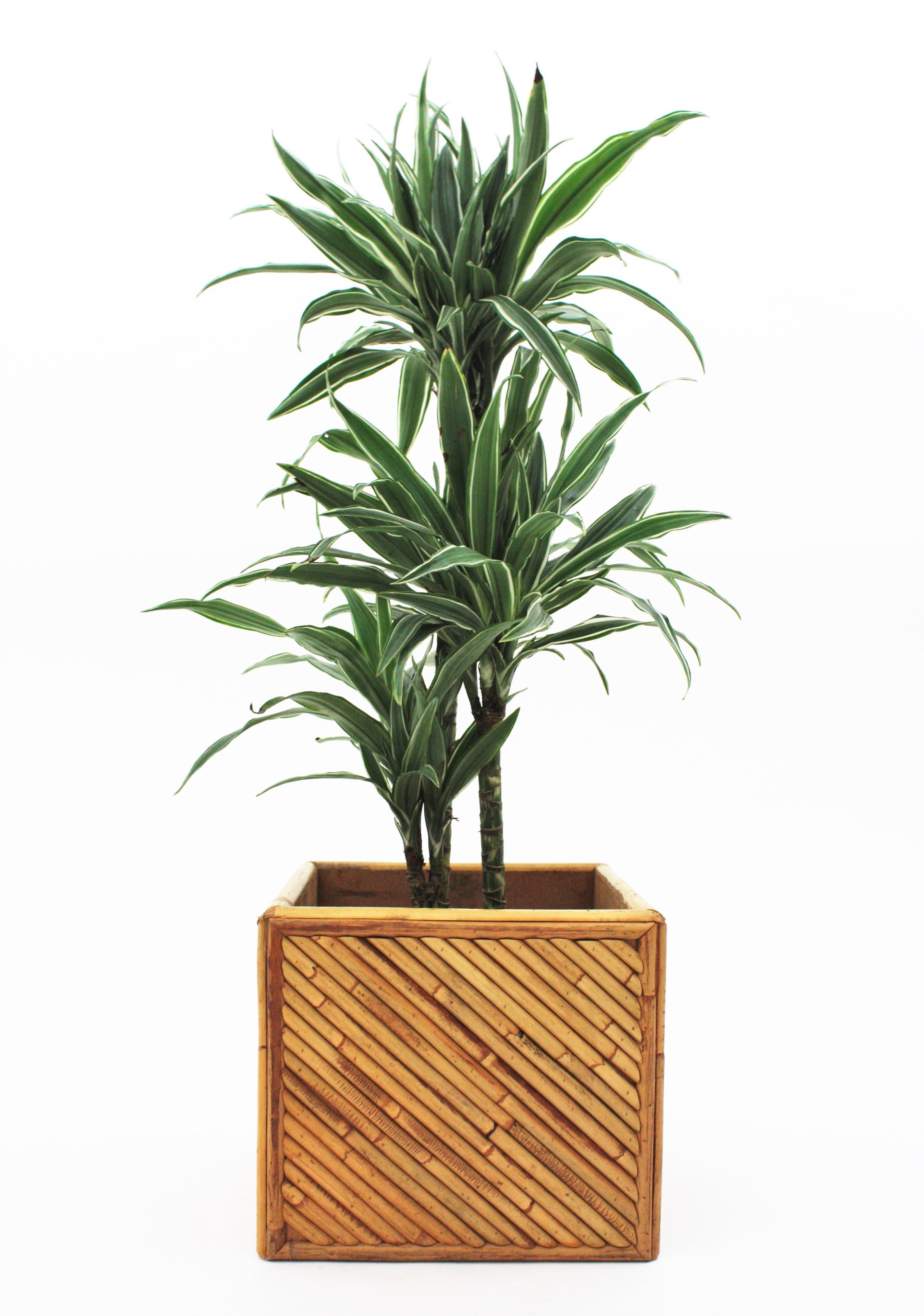 Pflanzgefäß aus geteiltem Rattan Reed. Handgefertigt in Italien, 1970er Jahre. 
Schöne Mid-Century Modern Rattan Bambus Pflanzer. 
Abmessungen: 28 cm x 32 cm B x 31,5 cm T
Innenhöhe: 24 cm 

   