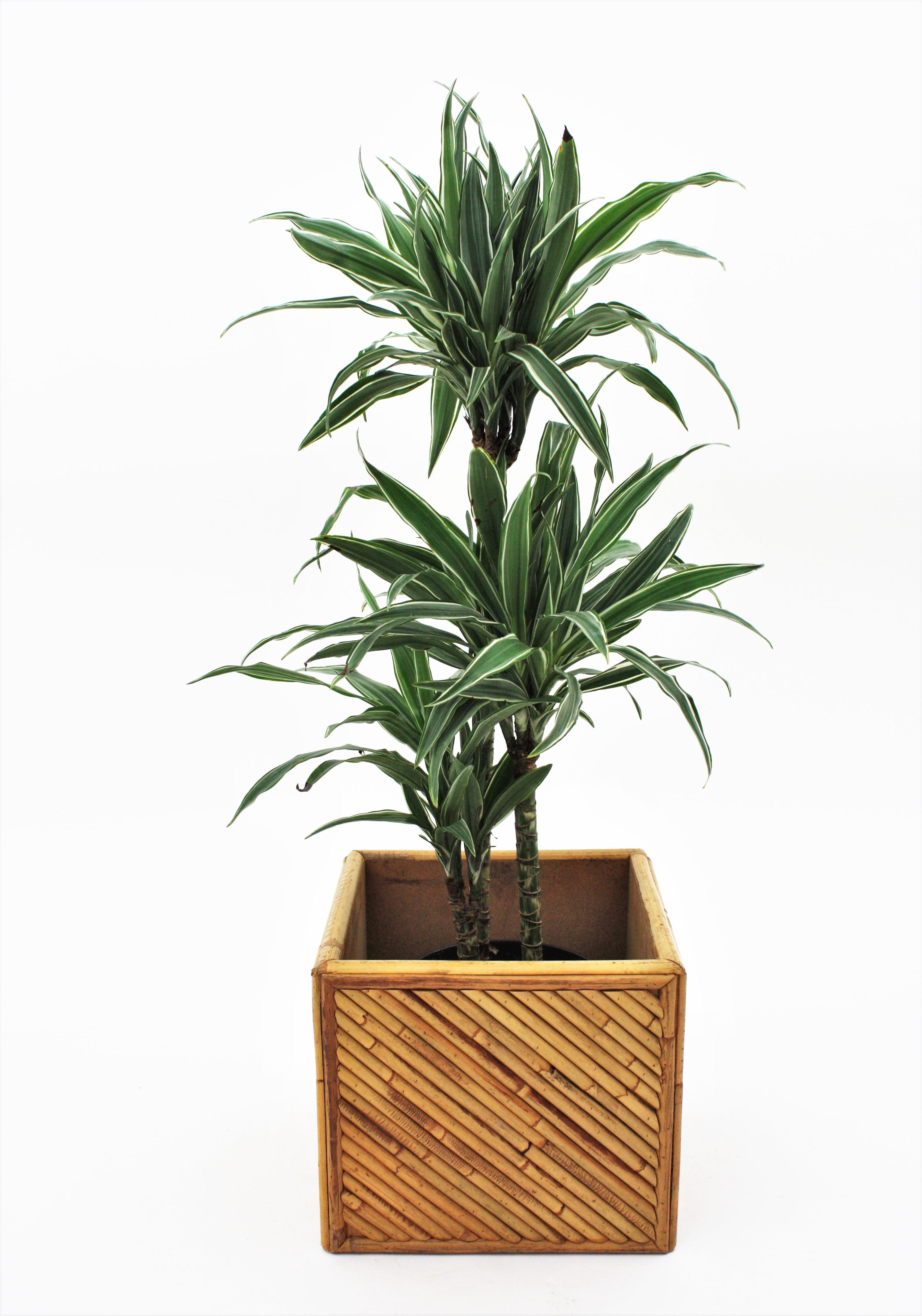 Split Reed Rattan Bamboo Gabriella Crespi Style Planter, 1970s For Sale 2