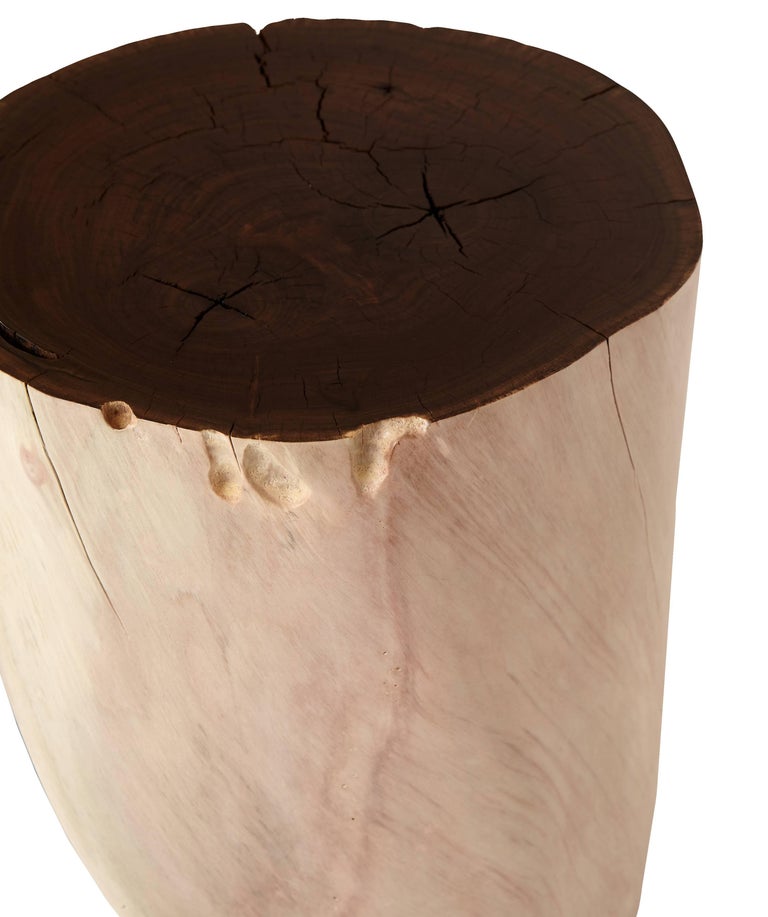 Split Walnut by Caleb Woodard For Sale at 1stDibs