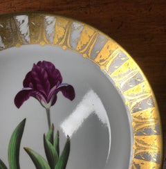 Spode Bone China Botanical, ‘Dwarf Iris’, C. 1800
