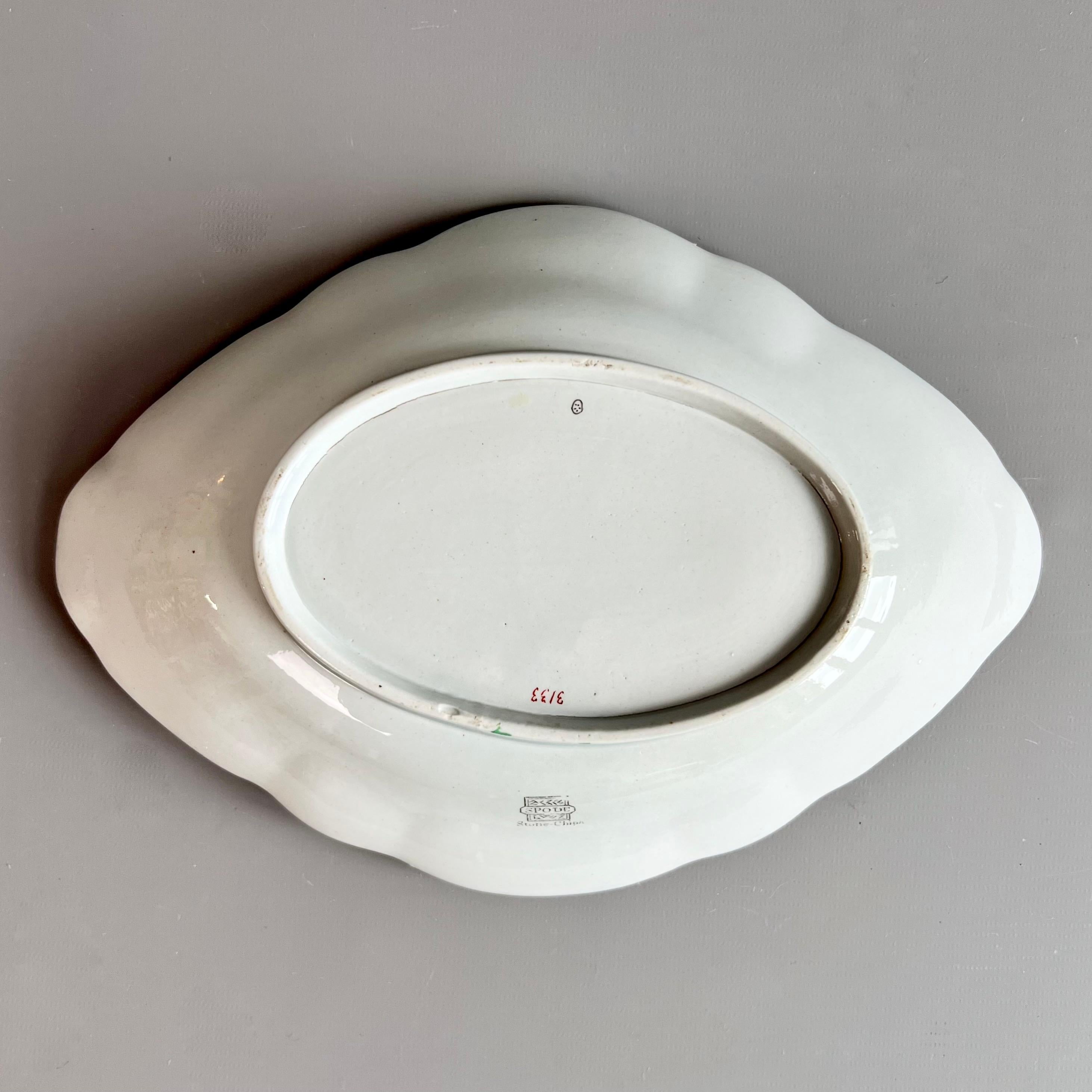 Spode Dessert Service, Ship Pattern no. 3133 on Stone China, 1813-1822 For Sale 5