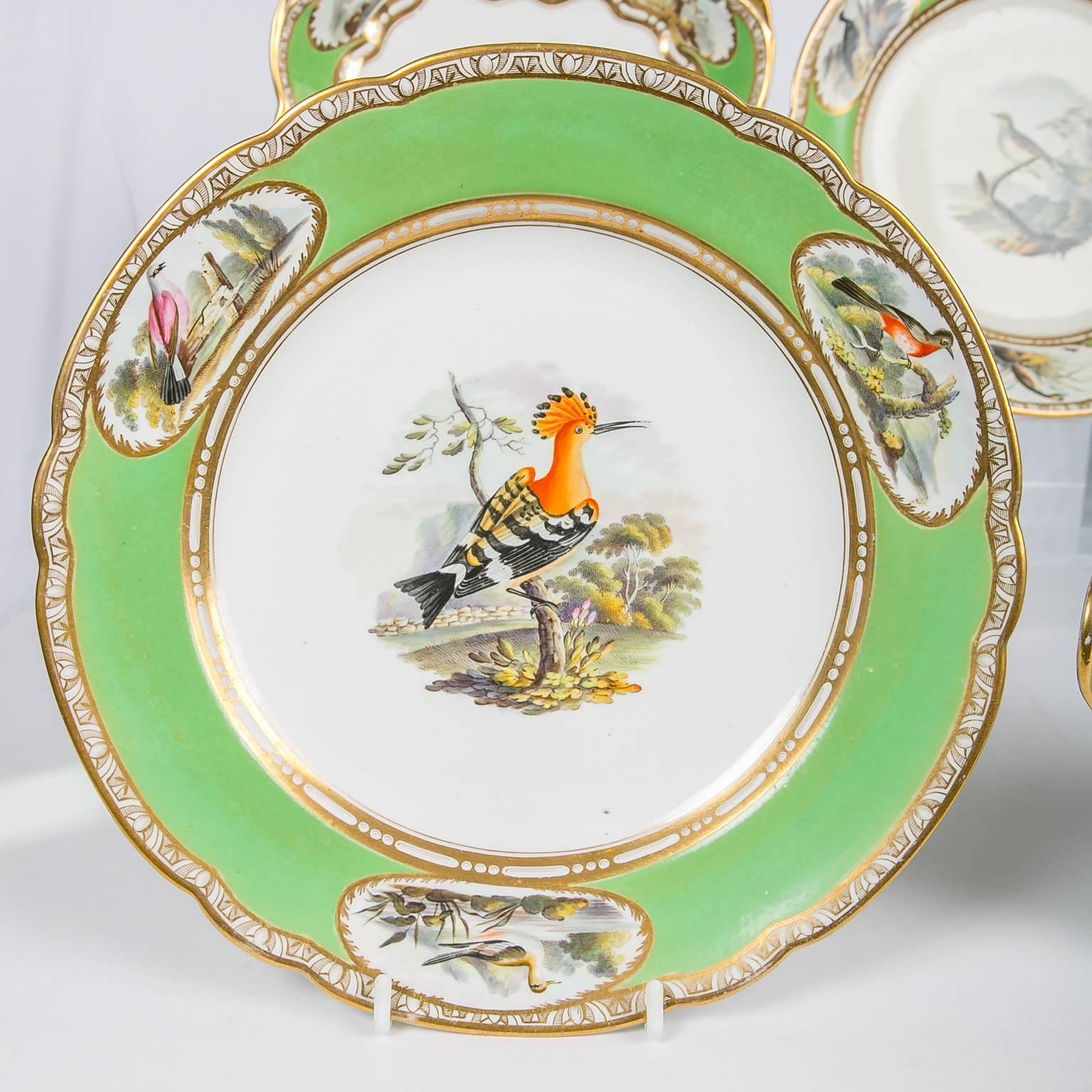 Spode Dishes with Hand-Painted Birds and Apple Green Borders 1