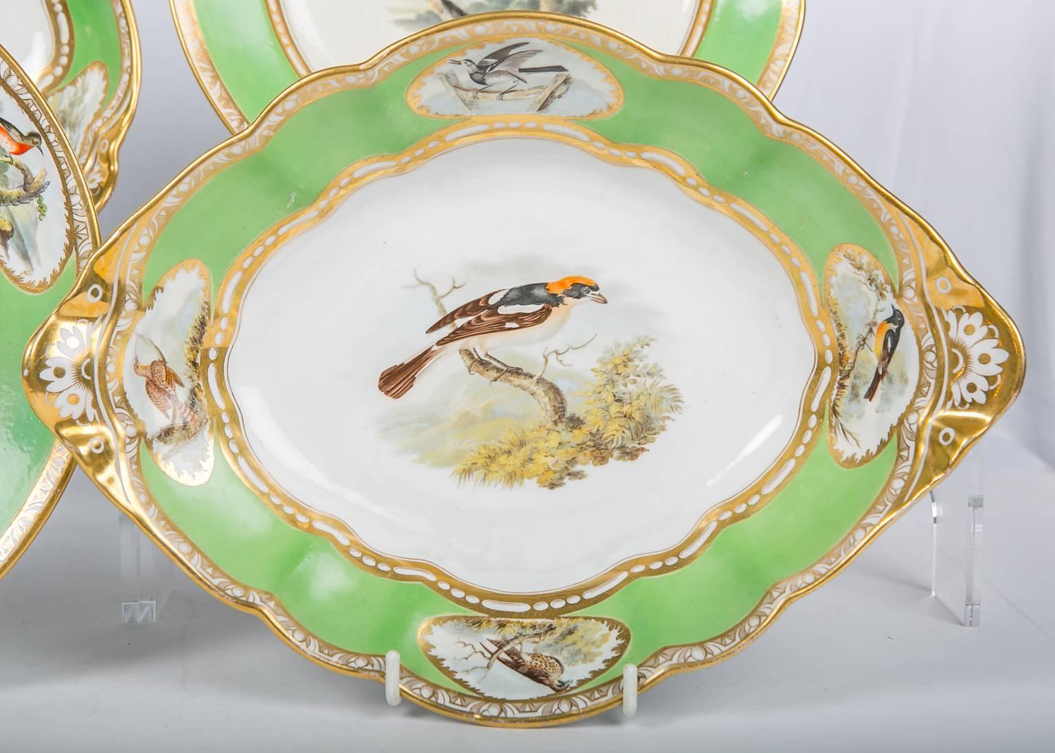 A set of Spode dishes with hand-painted birds and apple green borders. What makes these dishes so special is the beauty and artistry of the hand-painted birds, and
the English apple green borders which enhance the painting of the birds.
Shown in