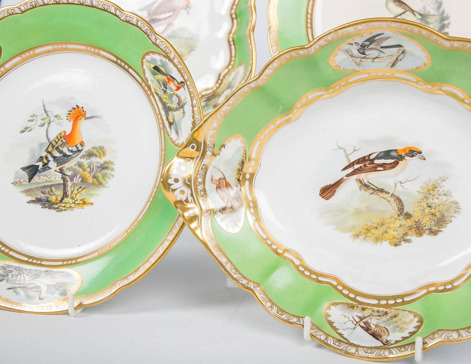 Regency Spode Dishes with Hand-Painted Birds and Apple Green Borders