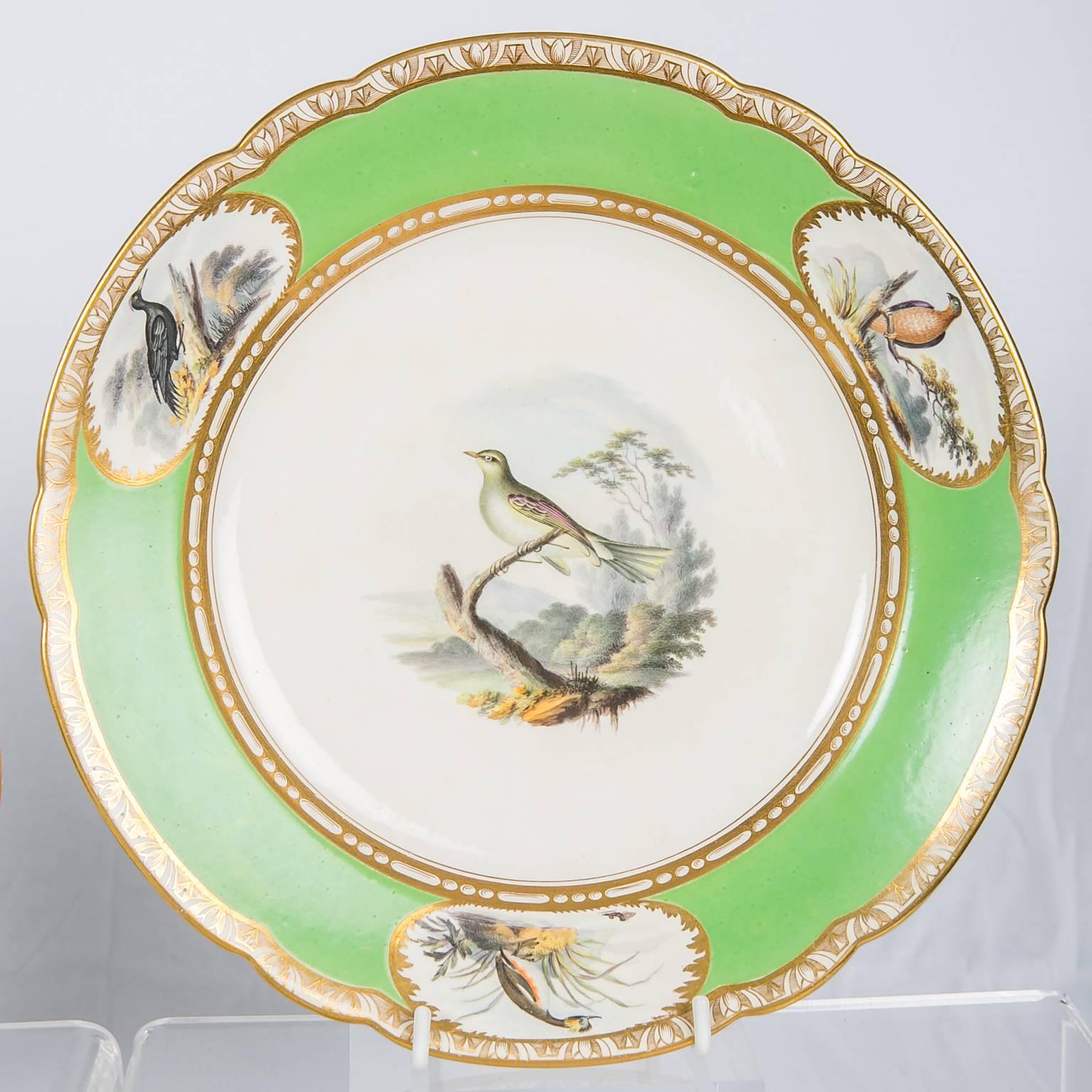 English Spode Dishes with Hand-Painted Birds and Apple Green Borders