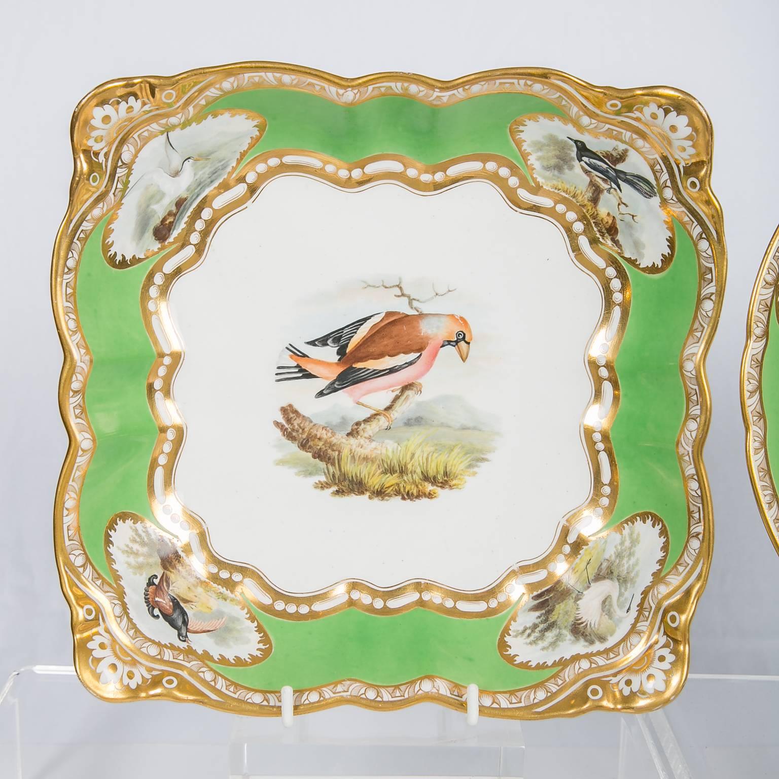 19th Century Spode Dishes with Hand-Painted Birds and Apple Green Borders
