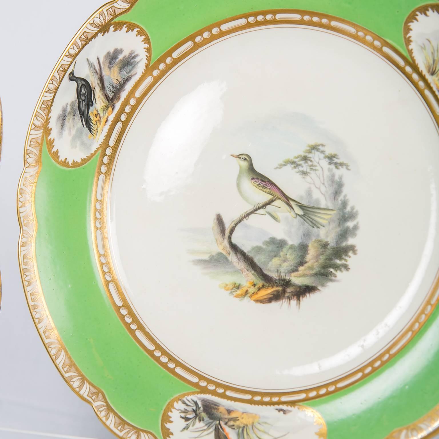 Porcelain Spode Dishes with Hand-Painted Birds and Apple Green Borders