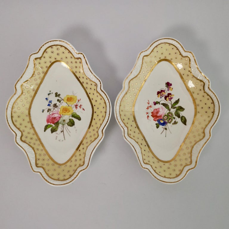 Hand-Painted Spode Felspar Floral Dessert Service, Yellow, Butterfly Handles, circa 1822 For Sale