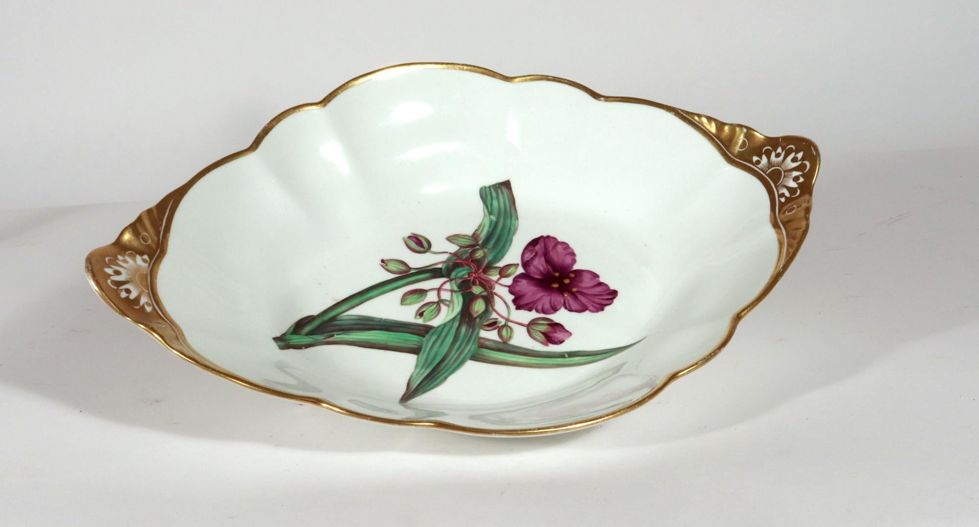 Spode Porcelain Botanical Specimen Dish with a Spiderwort Plant after W. Curtis In Good Condition For Sale In Downingtown, PA