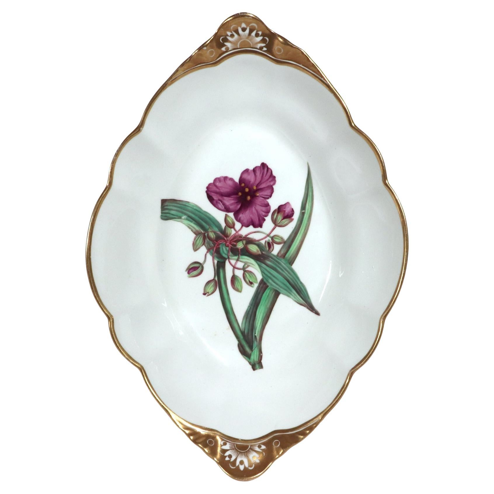 Plat à spécimens botaniques en porcelaine Spode avec une plante en wort d'araignée d'après W. Curtis en vente