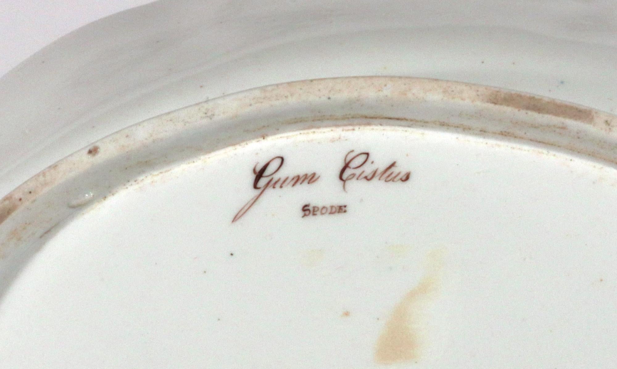 Paire de plats à spécimens botaniques en porcelaine de Spode. D'après William Curtis en vente 4
