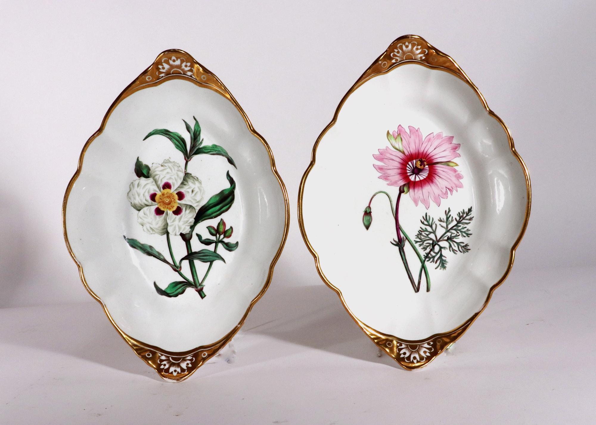 Spode Porcelain Botanical Named Specimen Dishes,
After William Curtis,
A Pair,
Circa 1810-20

A superb pair of Spode porcelain botanical dishes with a gilt border and to each end a raised shaped handle decorated with a flower head on a gilt ground.