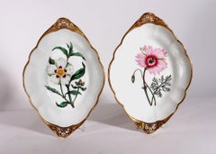 Spode Porcelain Botanical Specimen Dishes- A Pair. After William Curtis