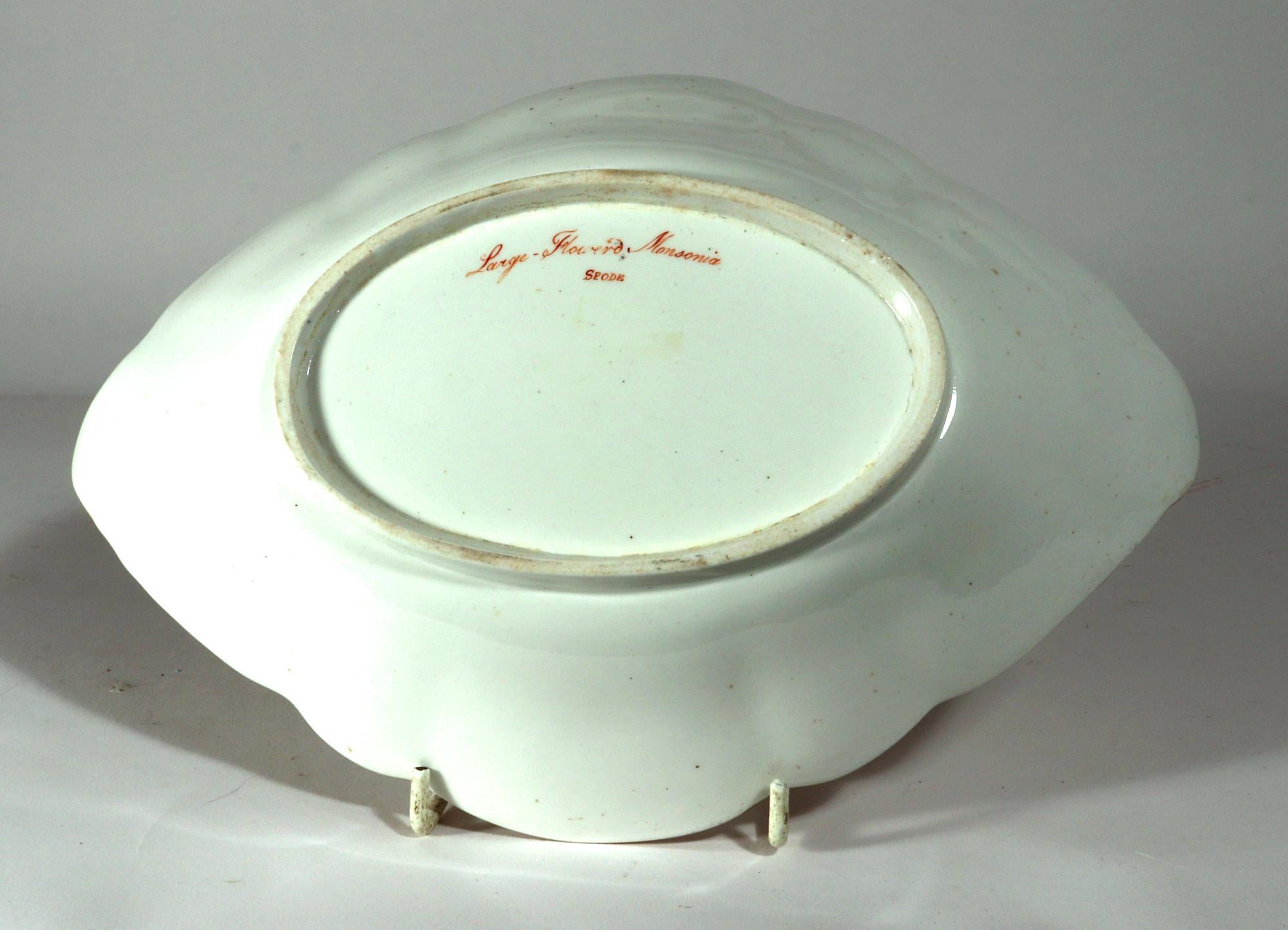 Paire de plats à spécimens botaniques en porcelaine de Spode. D'après William Curtis en vente 1
