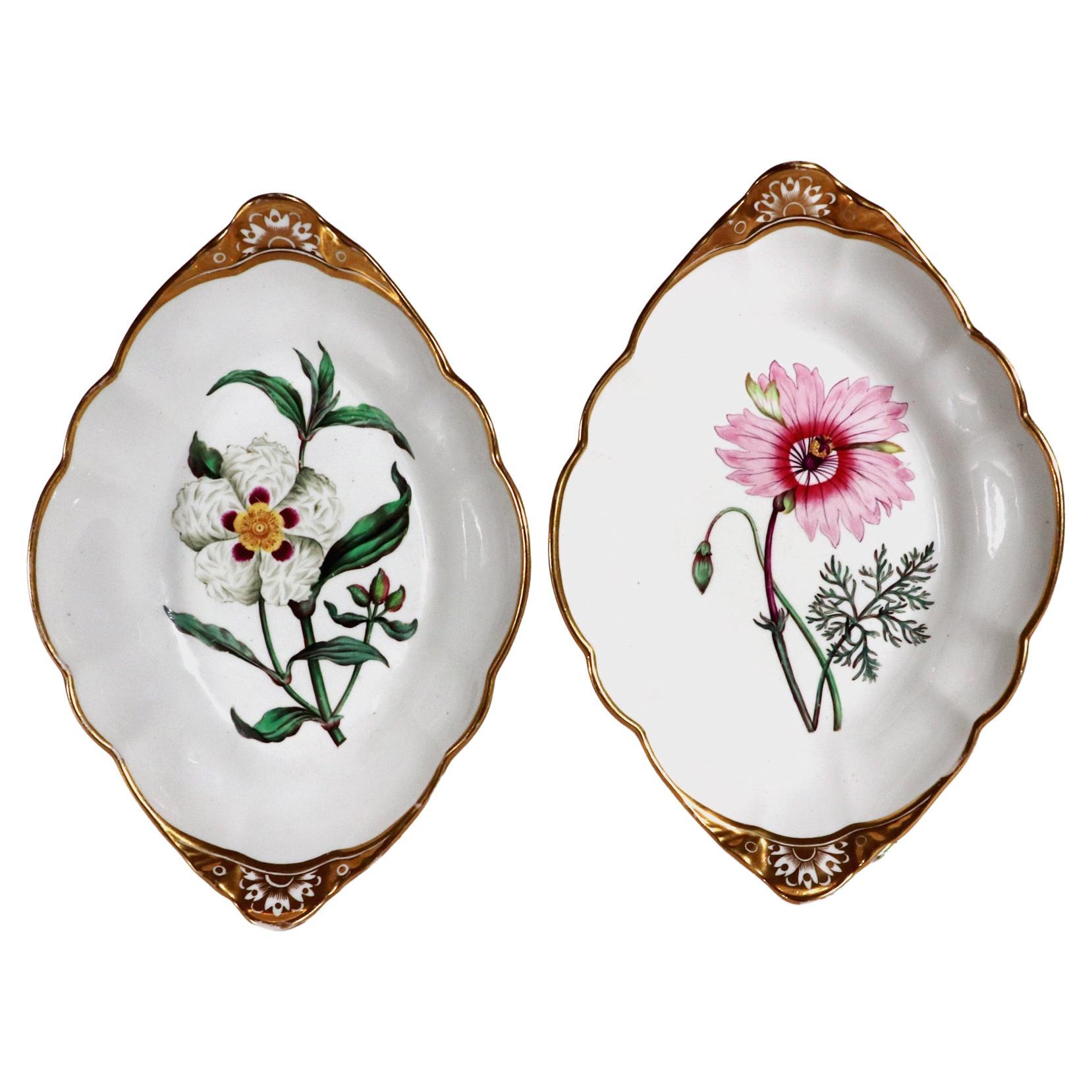 Spode Porcelain Botanical Specimen Dishes- A Pair. After William Curtis For Sale