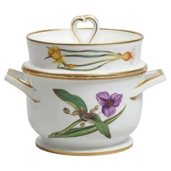Spode Porcelain Ice Pail Cooler with Botanical Flower Specimens Circa 1815