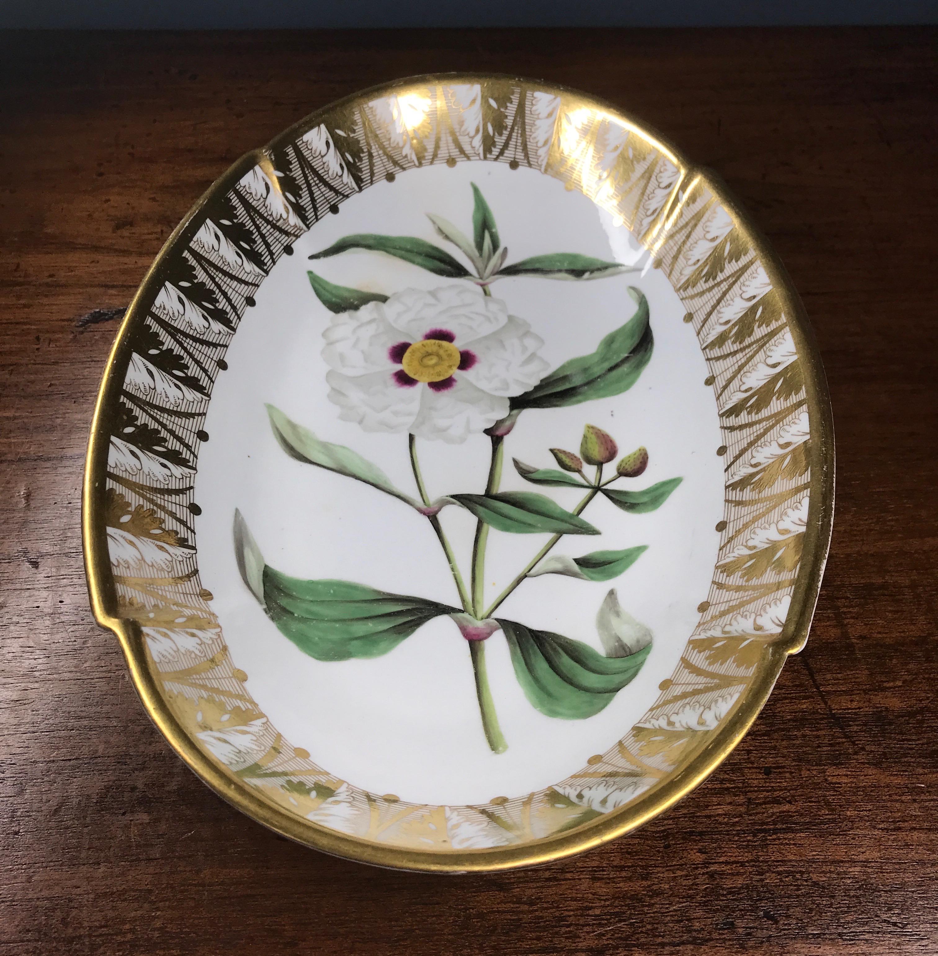 Spode Porcelain Oval Dish, ‘Gum Cistus’, c. 1800 For Sale 1