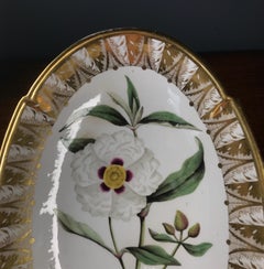 Spode Porcelain Oval Dish, ‘Gum Cistus’, c. 1800