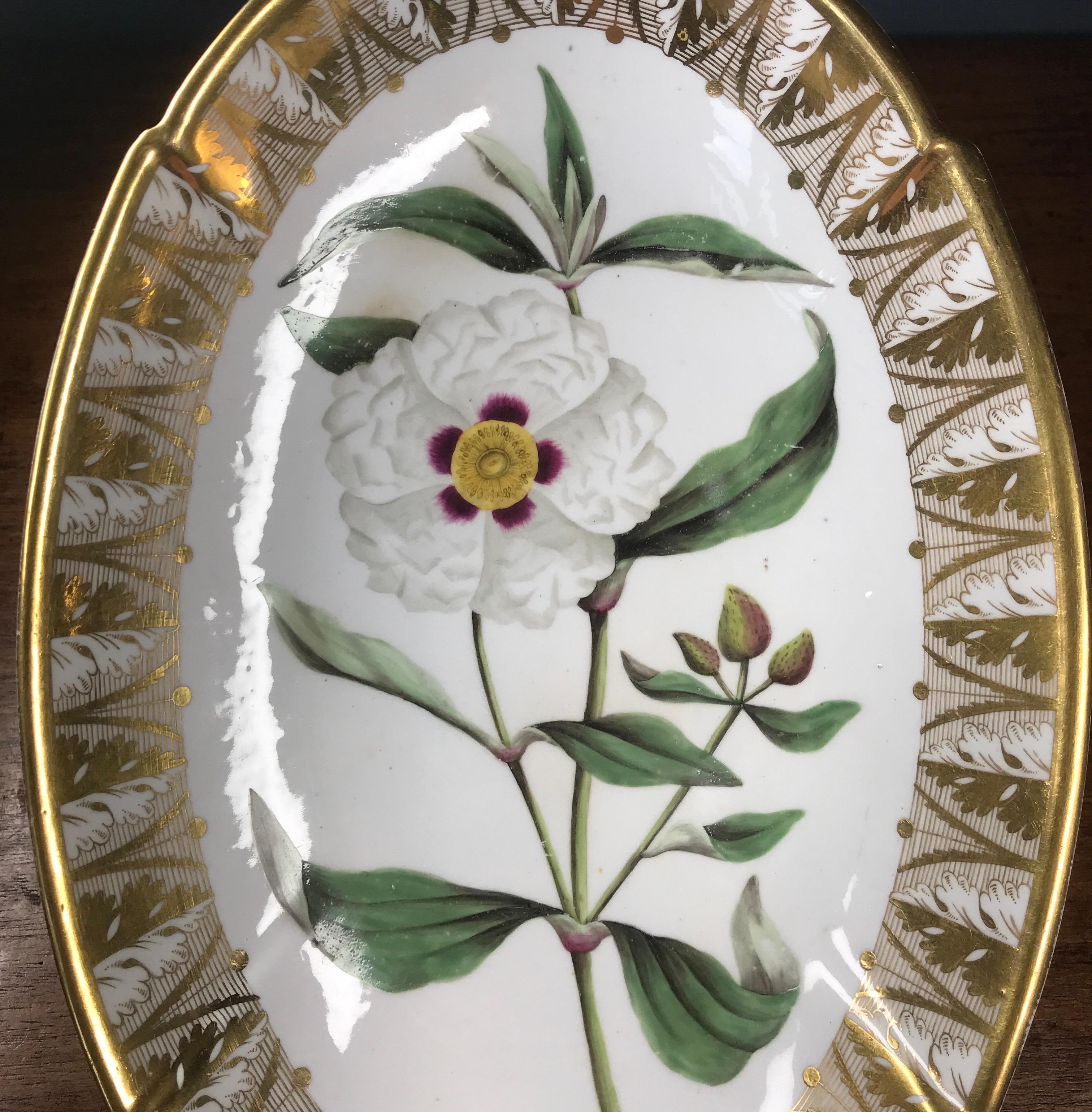 Neoclassical Spode Porcelain Oval Dish, ‘Gum Cistus’, c. 1800 For Sale