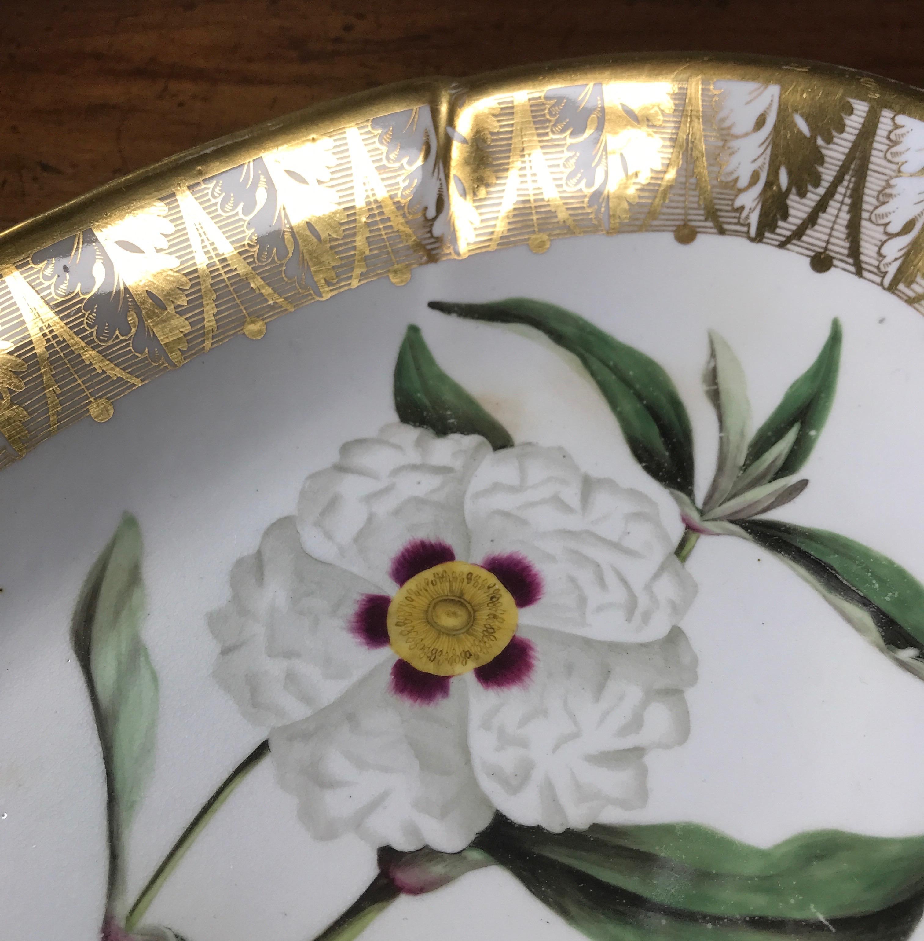 Spode Porcelain Oval Dish, ‘Gum Cistus’, c. 1800 In Good Condition For Sale In Geelong, Victoria