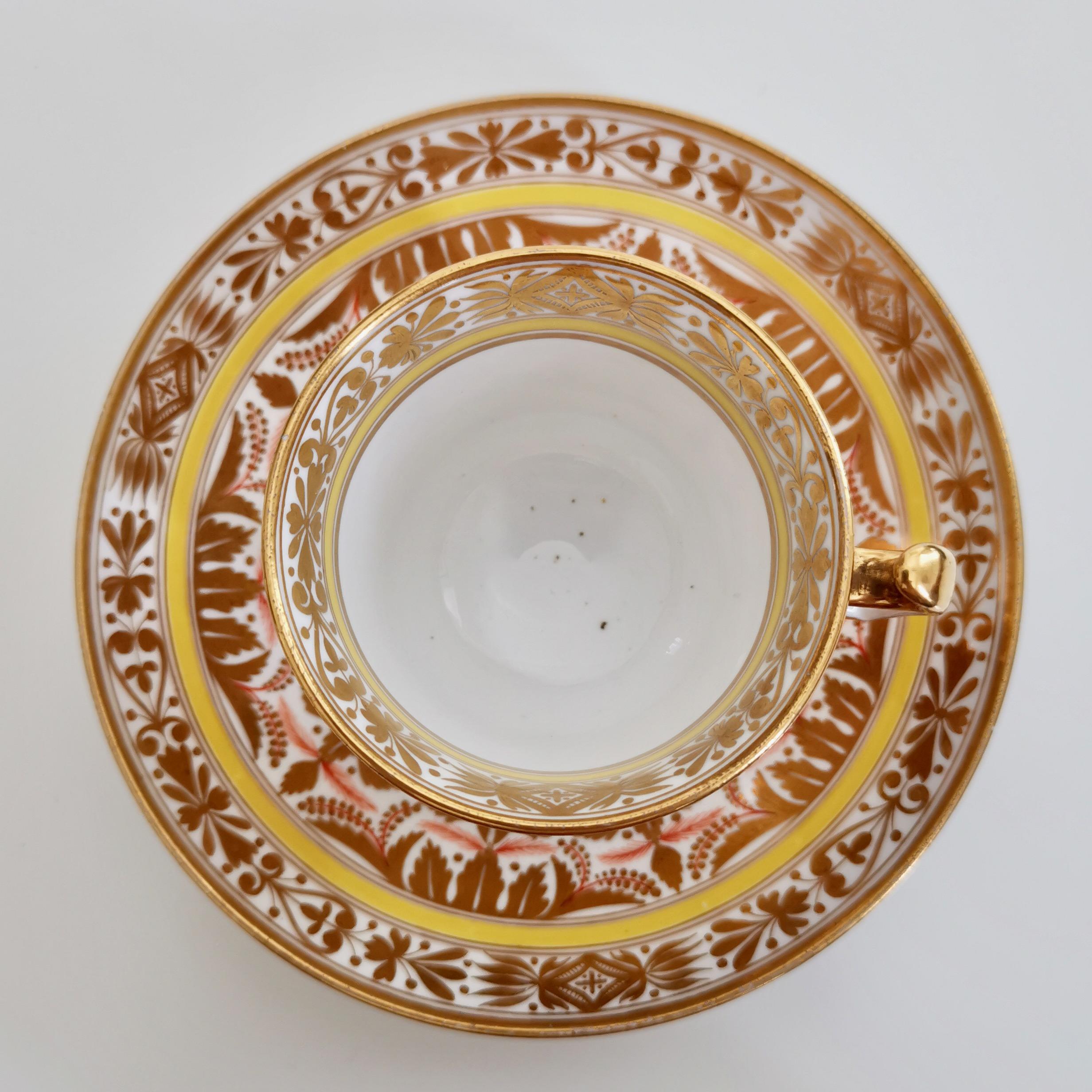 Spode Porcelain Teacup Set, Gilt, Yellow and Red Regency Pattern, circa 1815 5