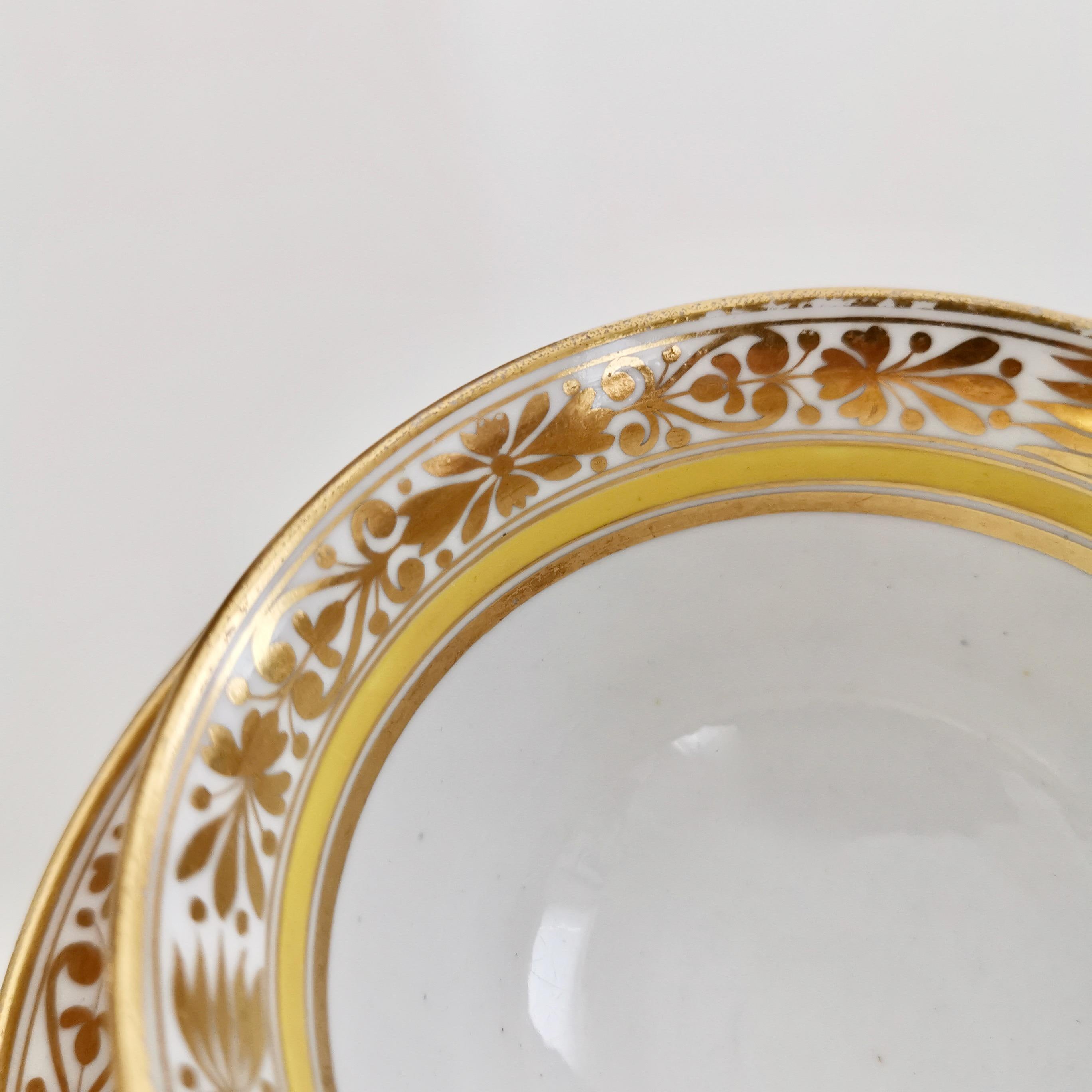 Spode Porcelain Teacup Set, Gilt, Yellow and Red Regency Pattern, circa 1815 11