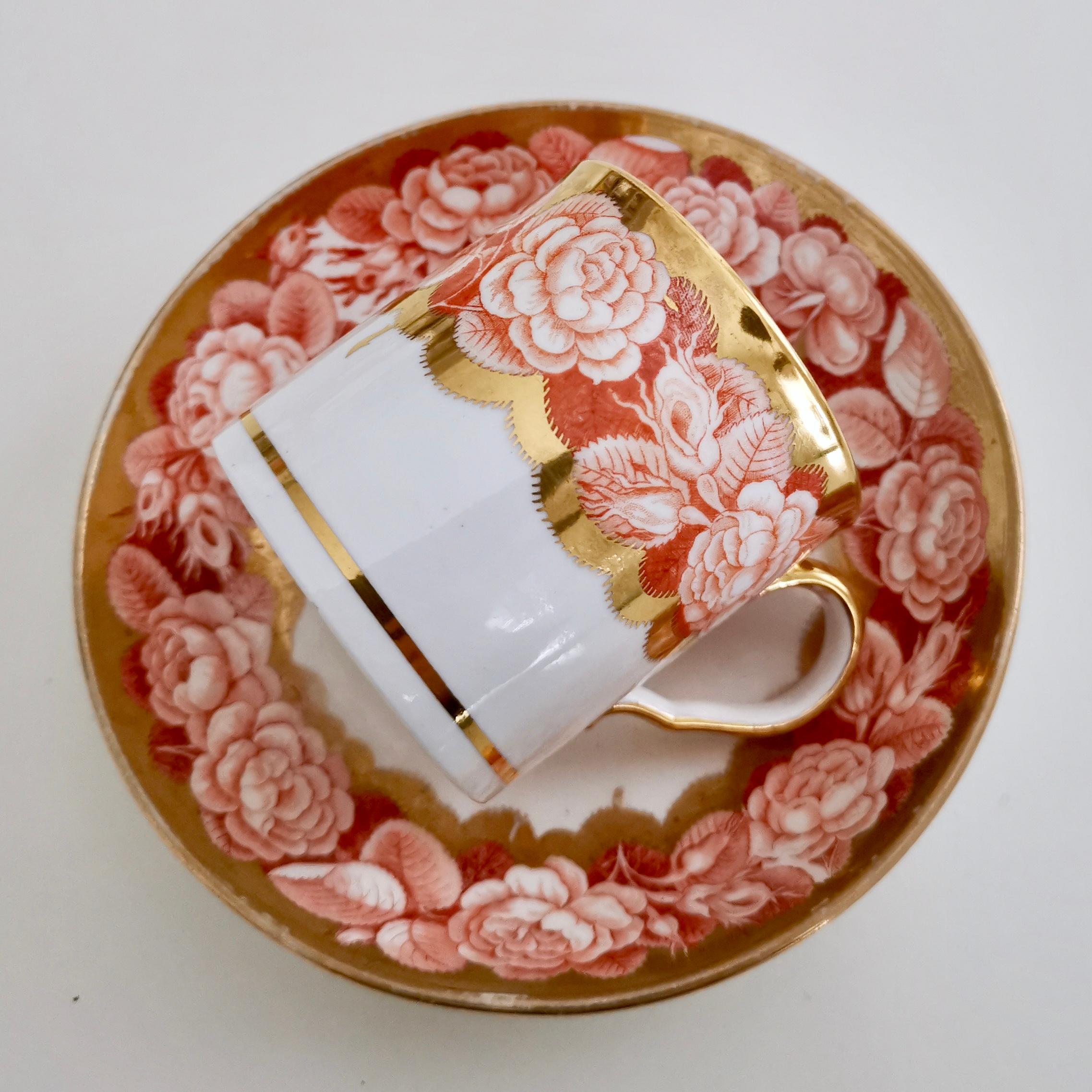 Spode Teacup Trio, Red Pluck and Dust Rose Border, Georgian, circa 1806 5