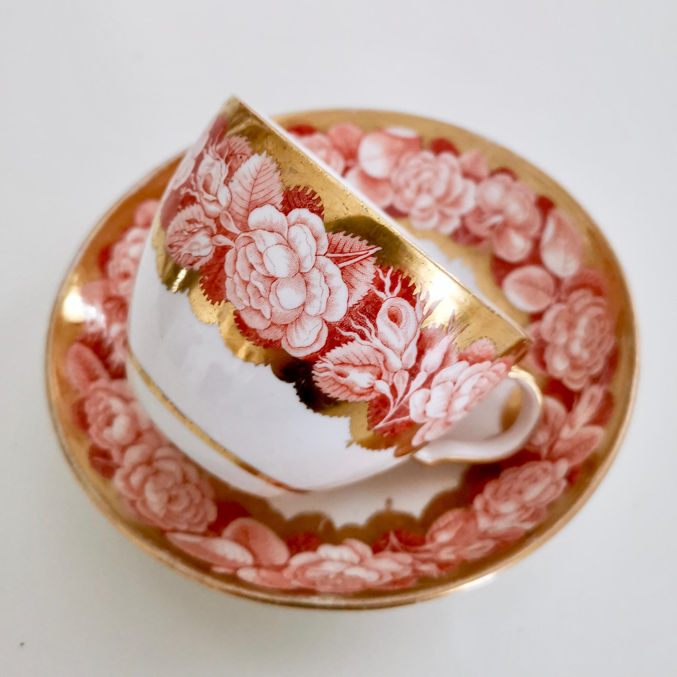 English Spode Teacup Trio, Red Pluck and Dust Rose Border, Georgian, circa 1806