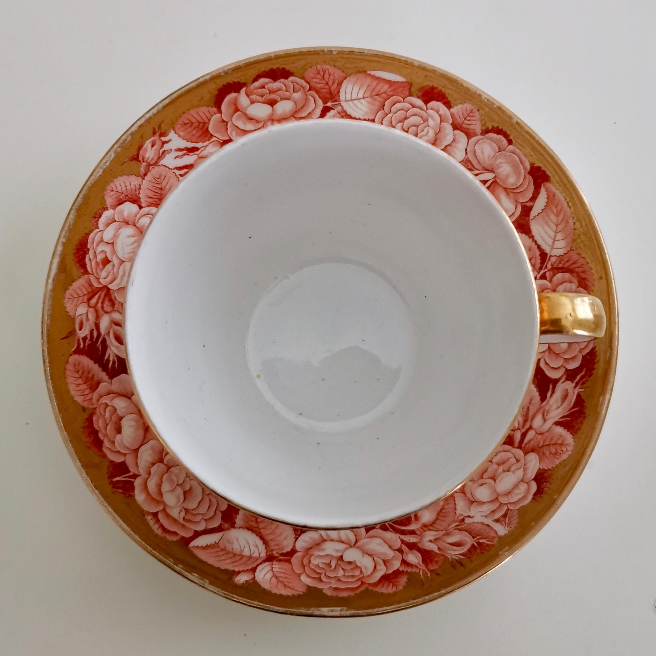 Early 19th Century Spode Teacup Trio, Red Pluck and Dust Rose Border, Georgian, circa 1806