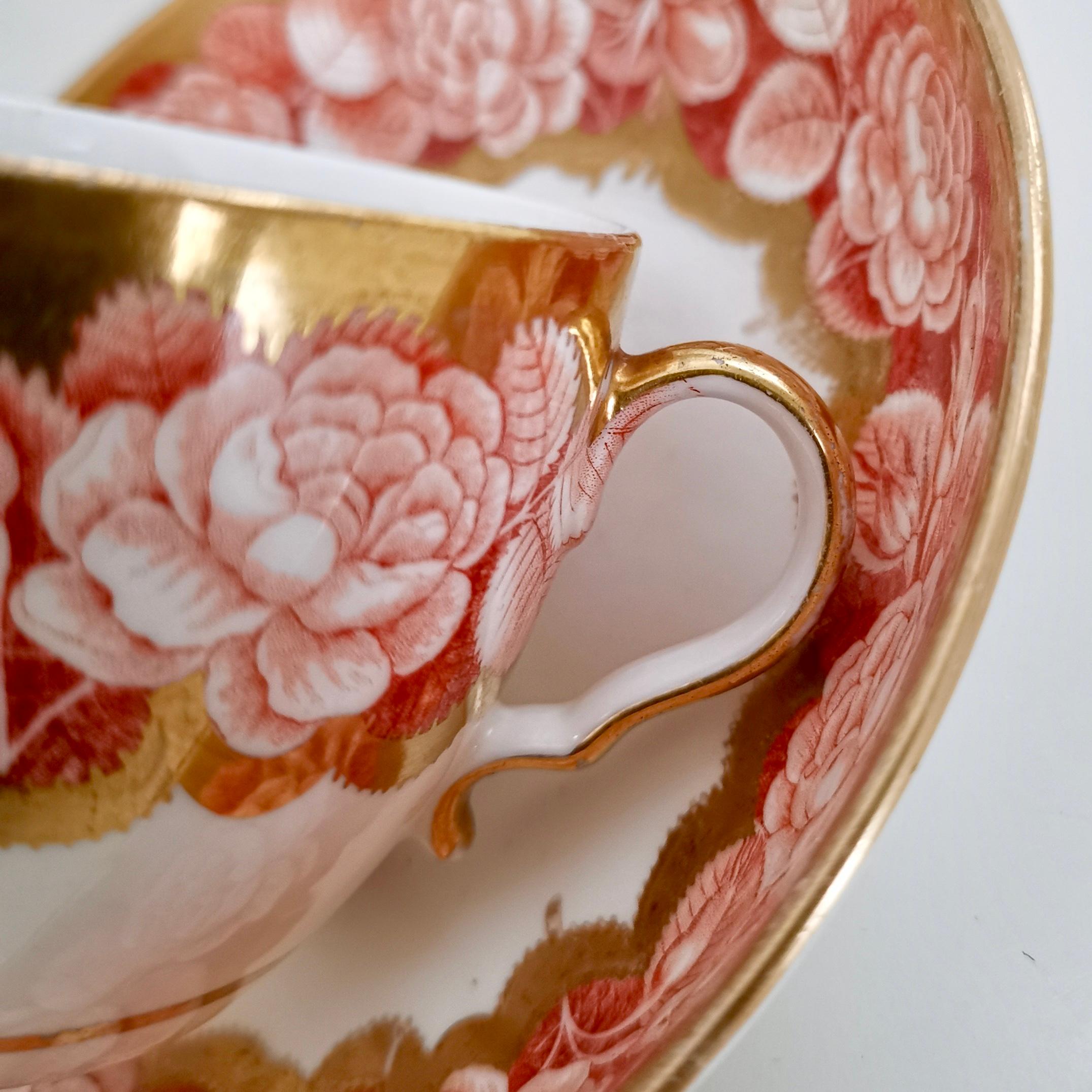 Spode Teacup Trio, Red Pluck and Dust Rose Border, Georgian, circa 1806 1