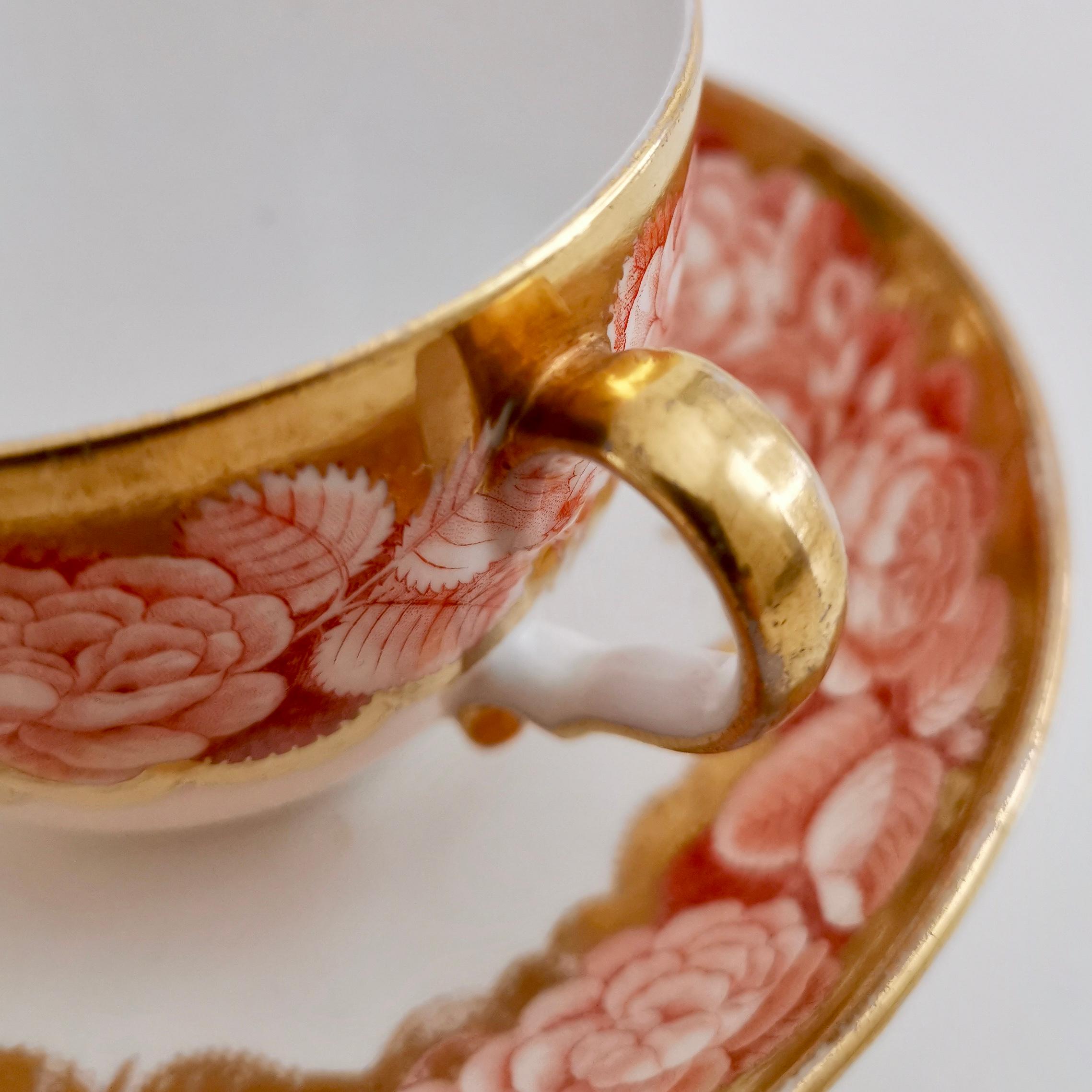 Spode Teacup Trio, Red Pluck and Dust Rose Border, Georgian, circa 1806 2