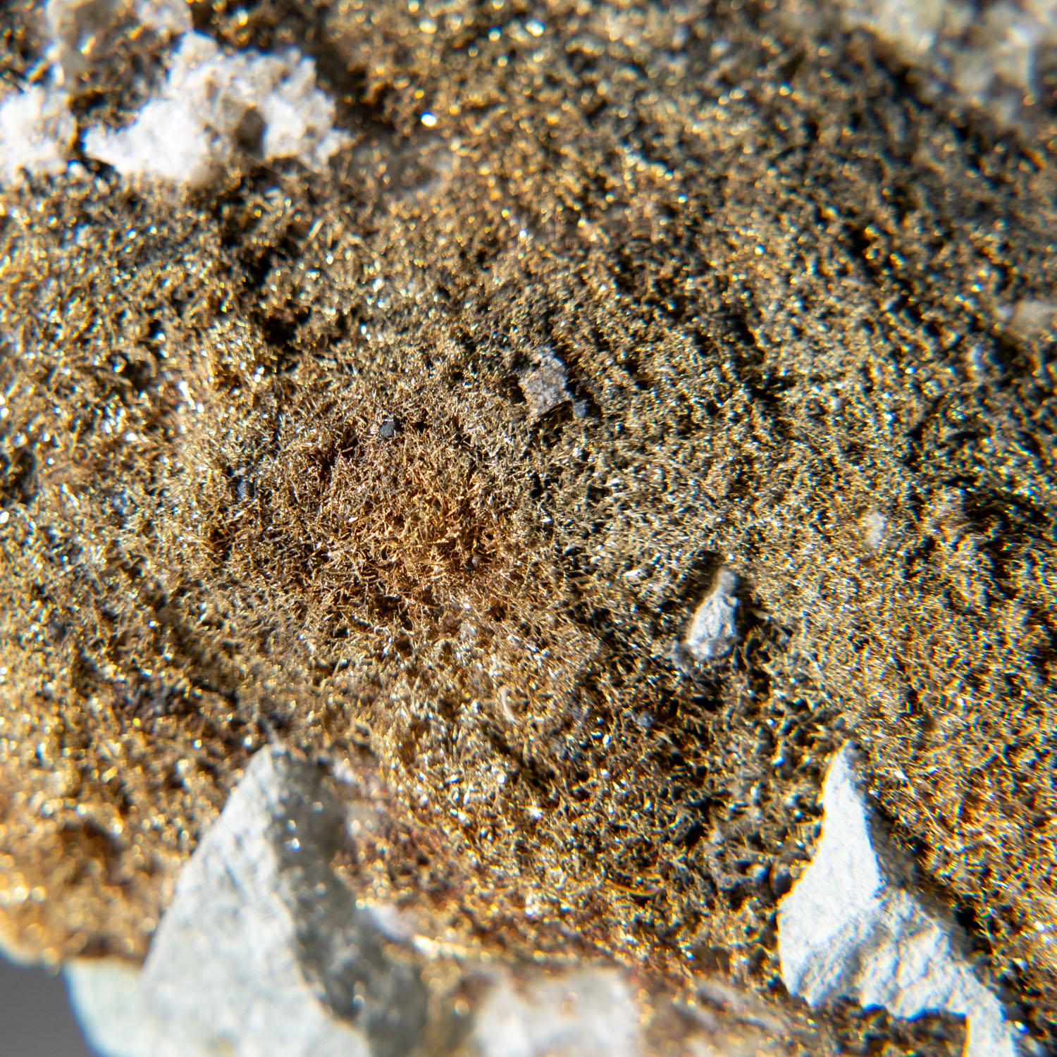 De la mine Olinghouse, banc 6030, puits 813, comté de Washoe, Nevada

Nombreux cristaux d'or natif fins et filiformes en plages spongieuses sur matrice verdâtre. Ce type d'or est très esthétique et voyant.


Poids : 1.6 lbs, Taille : 4.5 x 2.5 x 3