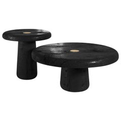 SPORE Contemporary Coffee Tables in Wood Brass