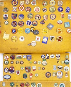 Sports collectibles - Collection of pins, emblems and badges - 140
