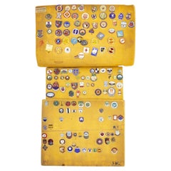 Sports collectibles - Collection of pins, emblems and badges - 140