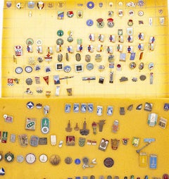 Sports collections - Collection of pins, emblems and badges - 205