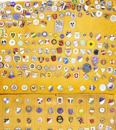 Sports collections - Collection of pins, emblems and badges - 260