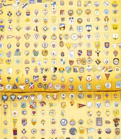 Collezioni sportive - Collezione di spille, emblemi e distintivi - 390