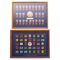 Sports collections - Collection of pins, emblems and badges - 60