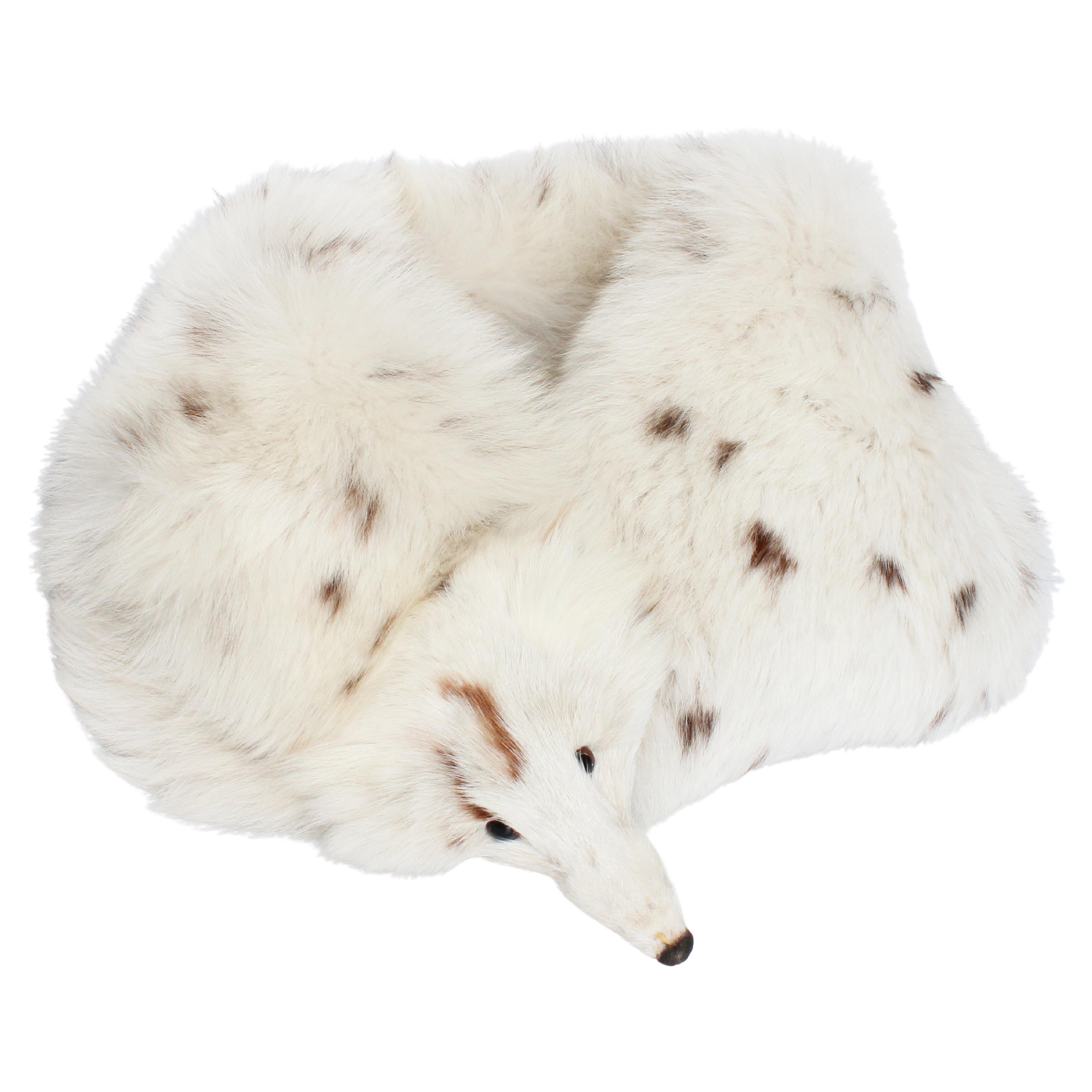 Spotted Fox Wrap Stole with Head and Tail Rare White Fur with Brown Spots  