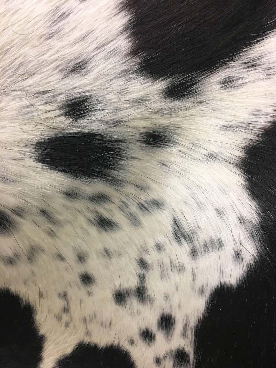 Spotted Tri-Color Cowhide Rug In New Condition For Sale In Napa, CA