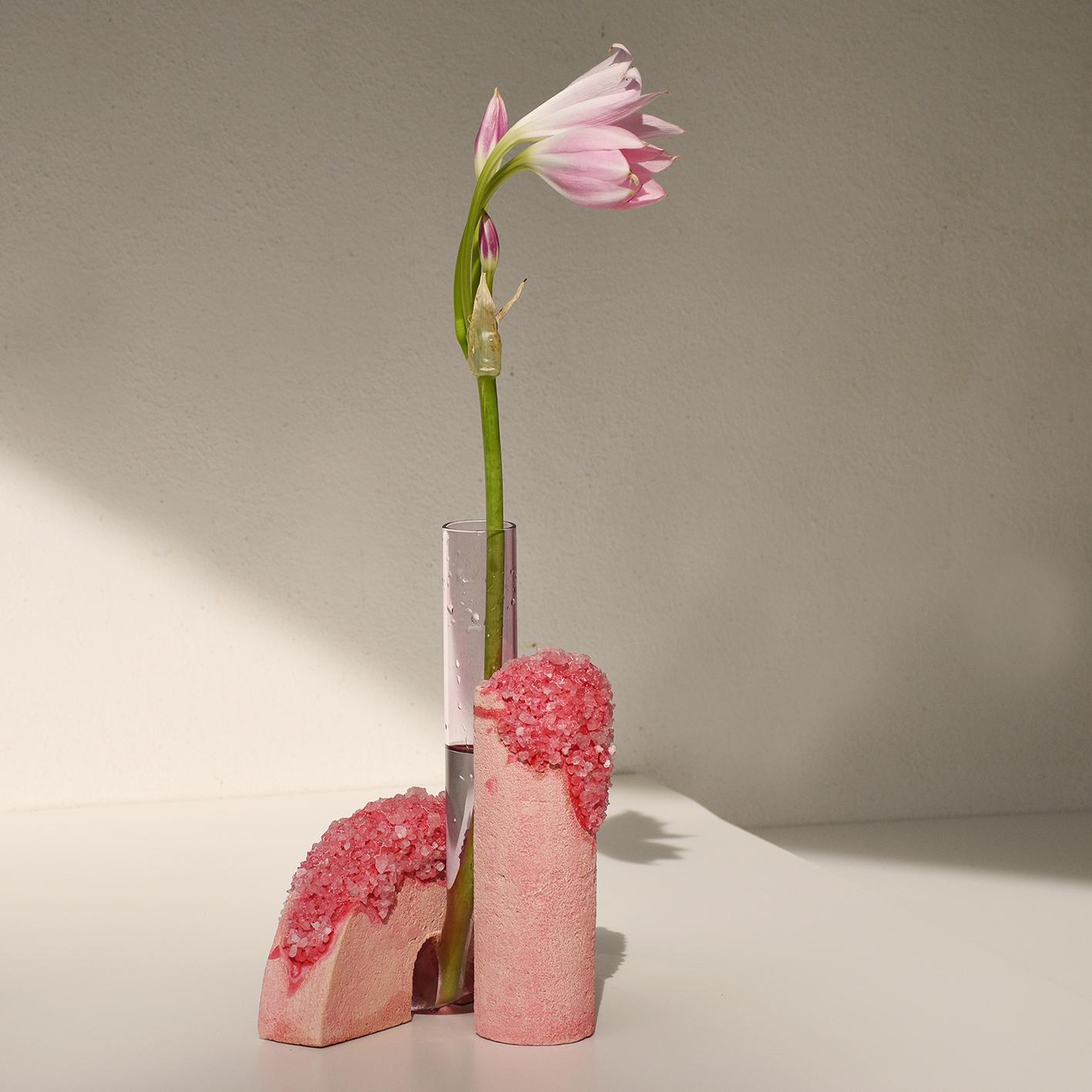 Hand-Crafted Spring Cochlea Della Metamorfosi 1 Seasons Edition Vase by Coki Barbieri For Sale