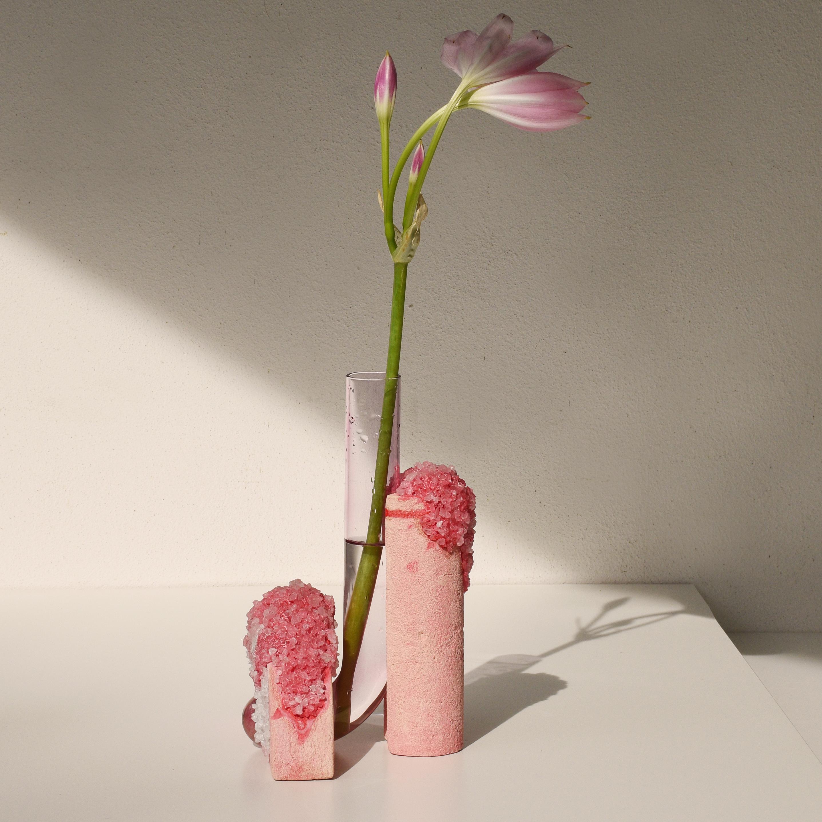 Contemporary Spring Cochlea Della Metamorfosi 1 Seasons Edition Vase by Coki Barbieri For Sale