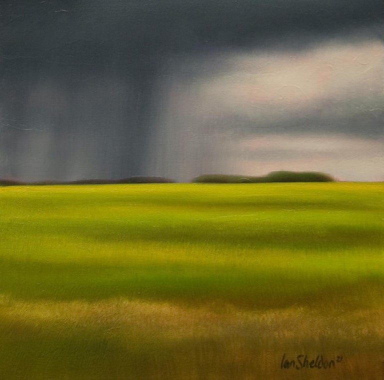 New addition to Rhyme Studio's New York City inventory for award winning artist Ian Sheldon, Spring Greens is yet another beautiful depiction of when land meets the turbulent forces of nature. There’s nothing like a seemingly limitless prairie field