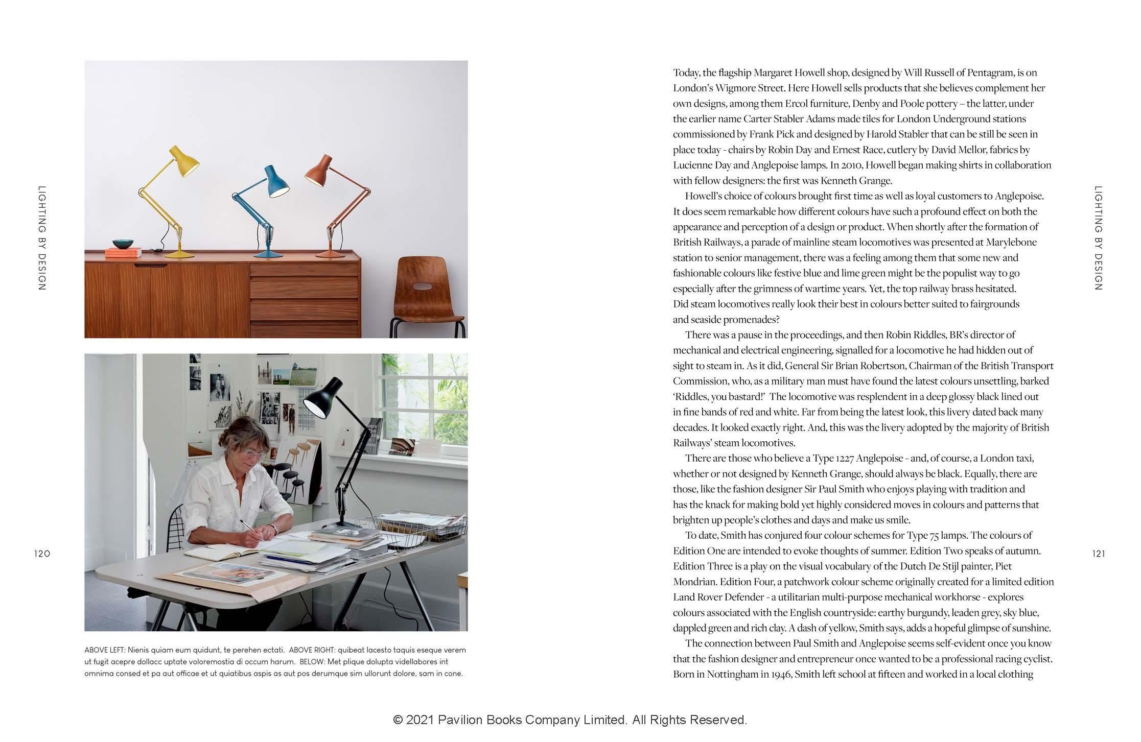 North American Spring Light The Anglepoise Story For Sale