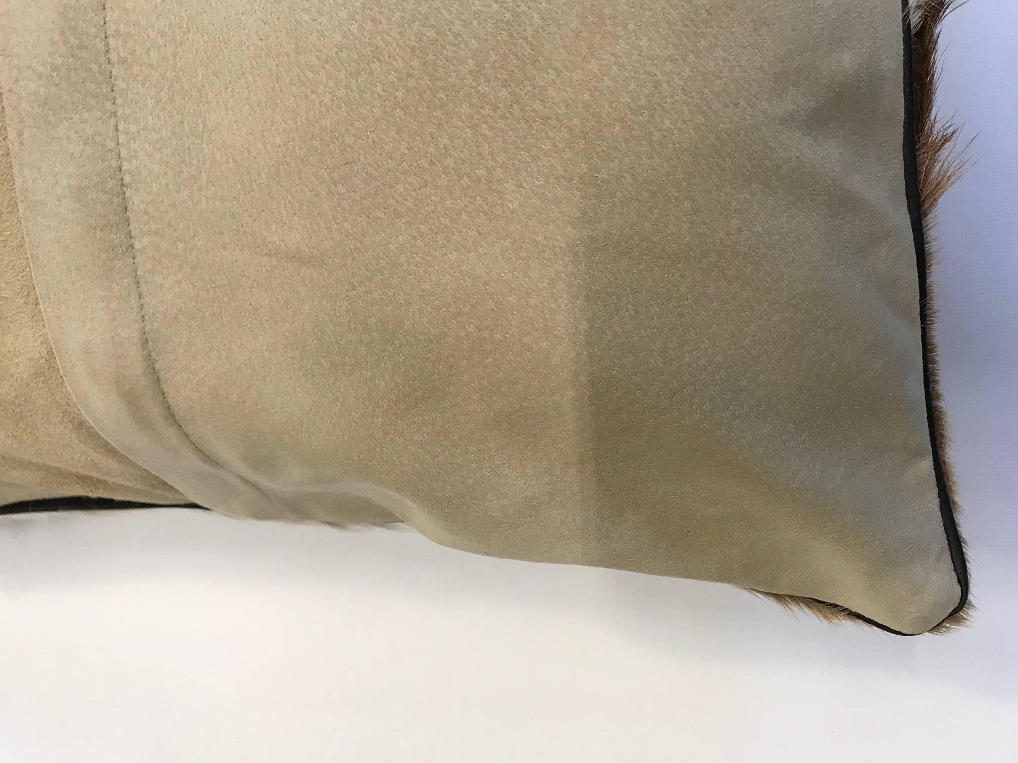 Beautiful Springbok pillow with suede backing and leather trim.

 