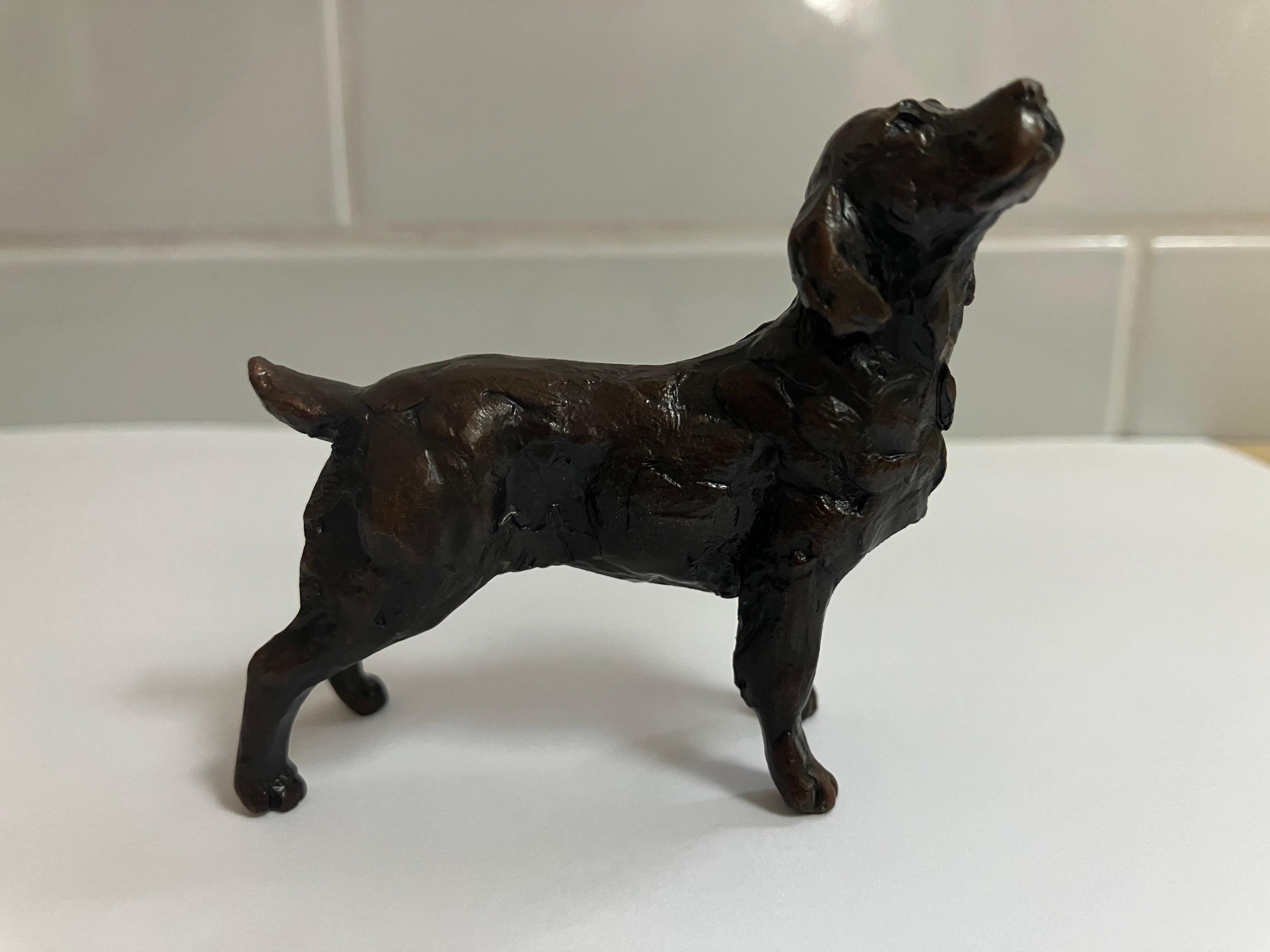 Fatto a mano Scultura Springer Spaniel in bronzo in edizione limitata firmata da Michael Simpson in vendita